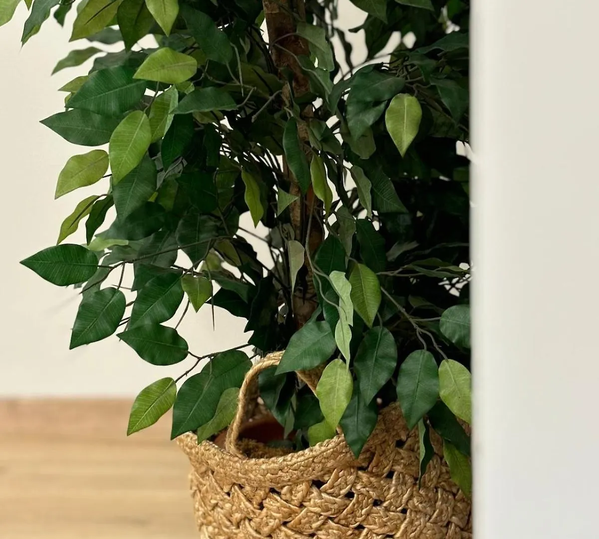 Suite Dell'Arte Rome Apartment